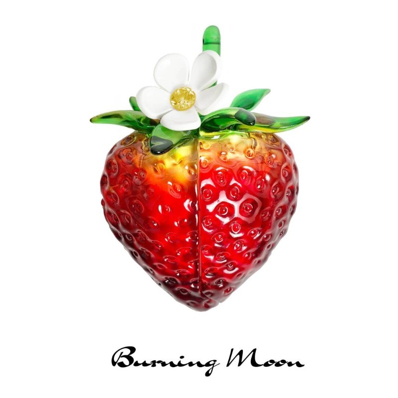 Strawberry Earphone Case for A - 3D Printing Housing recension och pris