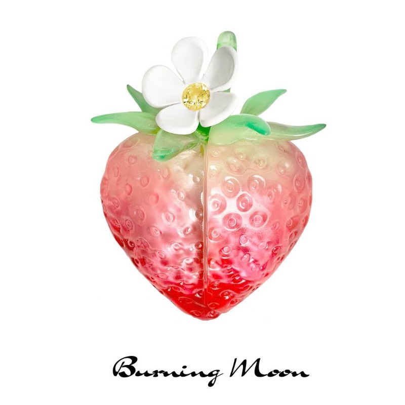 Strawberry Earphone Case for A - 3D Printing Housing recension och pris